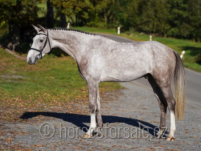 CASPIAN - image 4