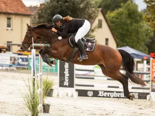 Jip - afbeelding 2