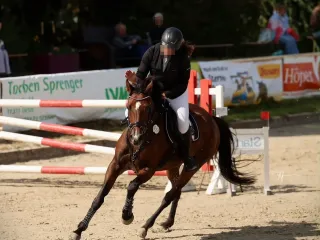 Jip - afbeelding 3