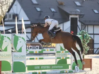Normandie - image 3